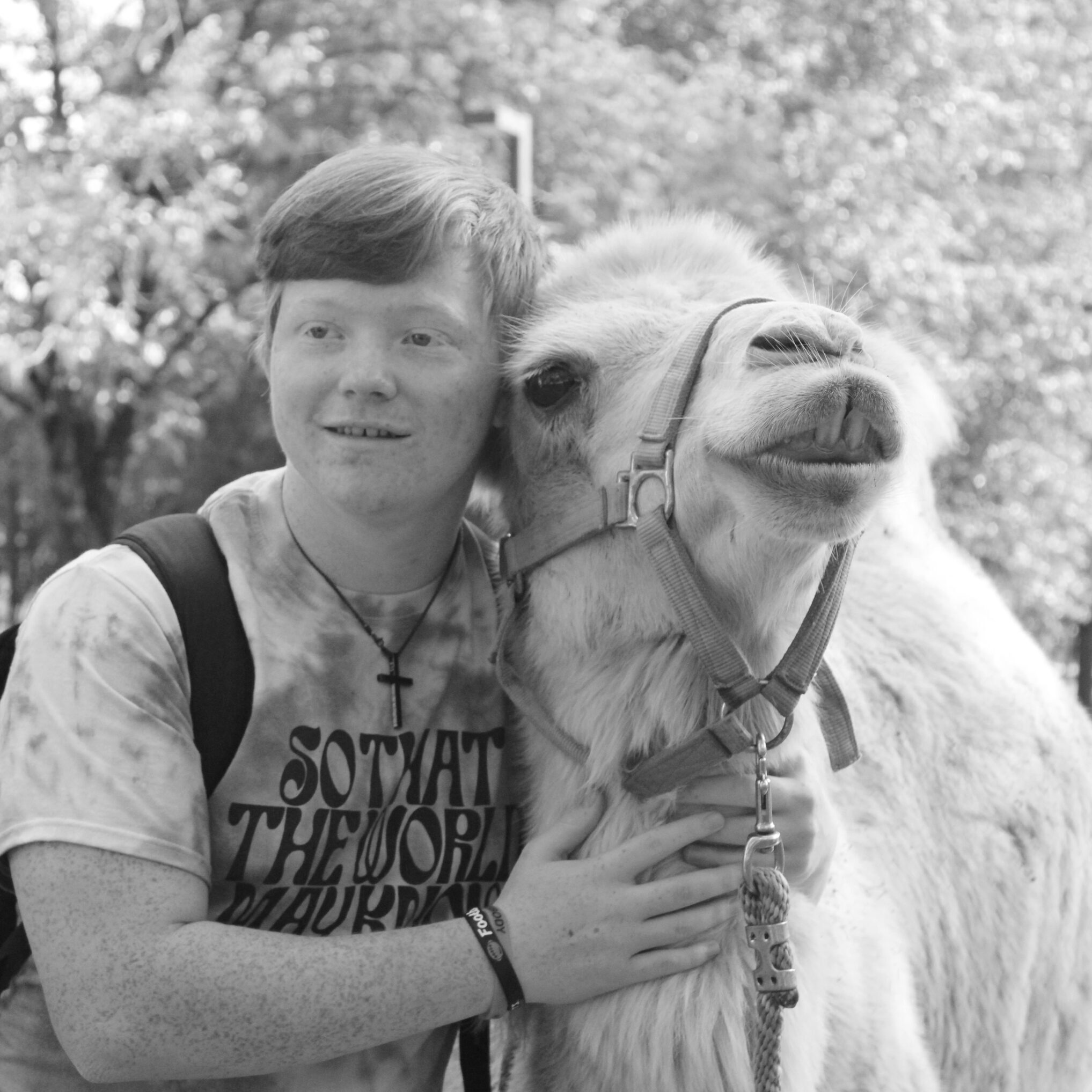 Student with camel