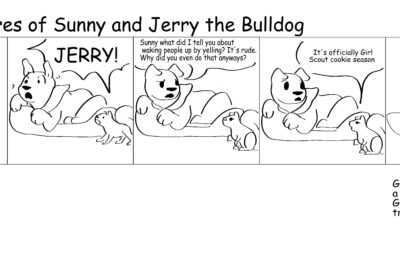 Adventures of Sunny and Jerry the Bulldog 2/21/2023